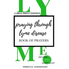 Praying through Lyme Disease (Large Print Edition)
