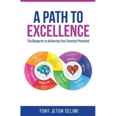 A Path to Excellence: The Blueprint to Achieving Your Greatest Potential